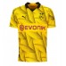 Camiseta Borussia Dortmund Mats Hummels #15 Tercera Equipación Replica 2023-24 mangas cortas